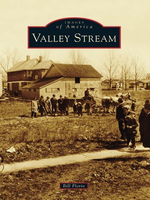 cover image of Valley Stream